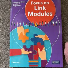 Leaving Cert Focus on Link Modules