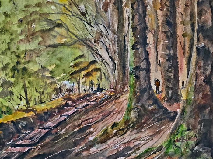 ballinstoe woods watercolour