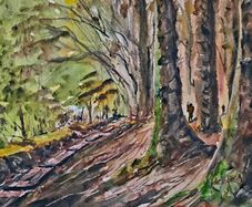 ballinstoe woods watercolour