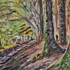 ballinstoe woods watercolour
