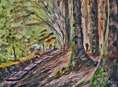 ballinstoe woods watercolour