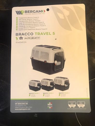 Domestic pet Bracco transport 5
