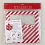 Elf on the Shelf Balloon Arrival Box Image 2