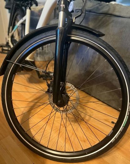 Raleigh Felix e-bike