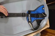Julius k9 dog harness