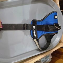 Julius k9 dog harness
