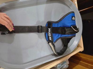 Julius k9 dog harness