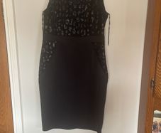ladies dress