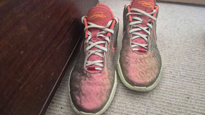 Nike LeBron 21 "Queen Conch"