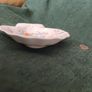 WEDGWOOD shell  dish Image 6