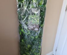 Rose Leaf Trellis 100cm X 200cm