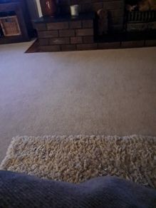 Small dog bed