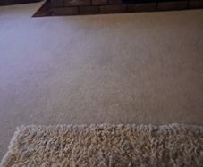 Small dog bed