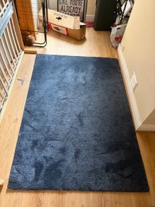 rug