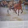 The World of The Irish Horse / 1992 Image 9