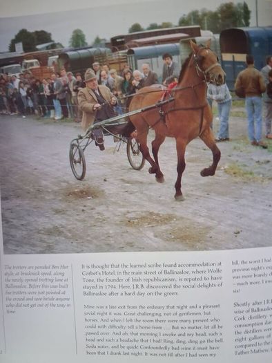 The World of The Irish Horse / 1992