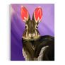 Bunny Rabbit Original Acrylic Painting Image 3