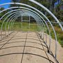 The  Classic Greenhouse Image 5
