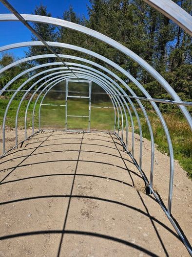The  Classic Greenhouse