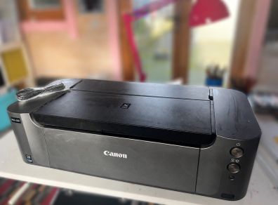Canon Pixma Pro 100 Printer (not working)