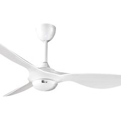 Smart Ceiling Fan Light