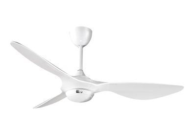 Smart Ceiling Fan Light