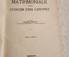 Ius Matrimoniale Auxta Codicem Iuris Canonici. Matrimonial Law Accordingto The Code Of Canon Law  The Author  John Chelodi  I. C. Doctor And Professors. R. Rotae Advocate  The Third Edition  Tridenti  Book Edition Of Tridentum  1921