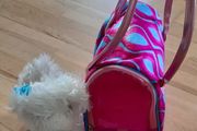 Pet carrier bag &amp; Dog