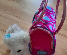 Pet carrier bag & Dog