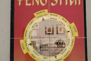 Plan Your Home With Feng Shui by Ian Bruce (Paperback, 1998)