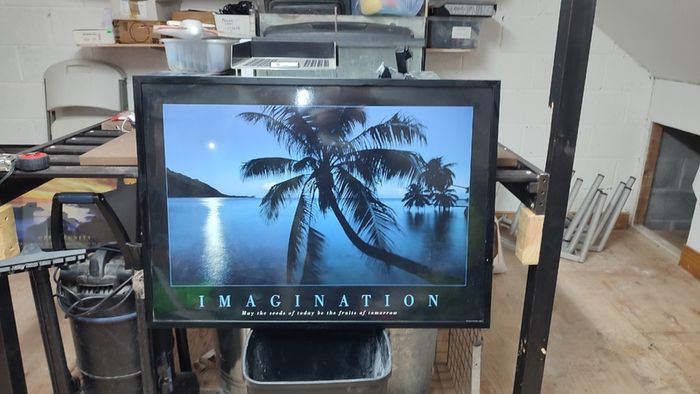 Imagination Poster Framed May the seeds of today be the fruits of tomorrow