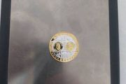 20 g .999 silver Bullion