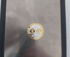 20 g .999 silver Bullion