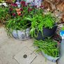 Garden pots Image 3