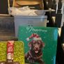 Dog bundle Image 5