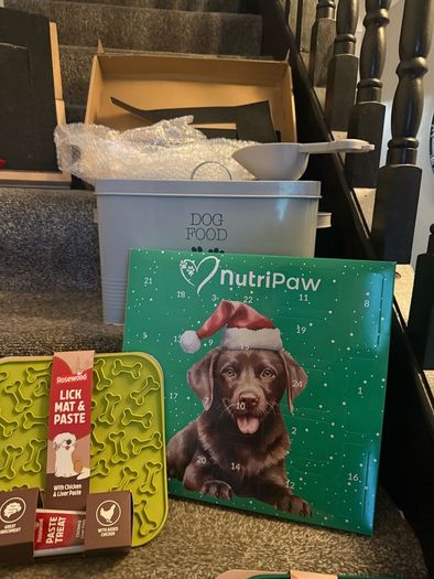 Dog bundle