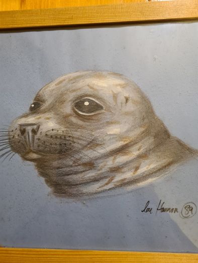 Framed Print Of Grey Seal. In Good Condition.