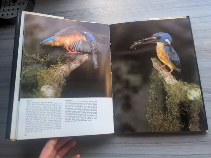 The Nature of Australia Michael Morcombe