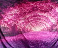 XL wall tapestry. Material art