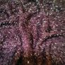 Fuzzy Dark purple open back top with chain, size S/M Image 3