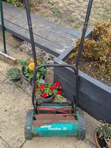 Qualcast push mower