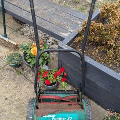 Qualcast push mower