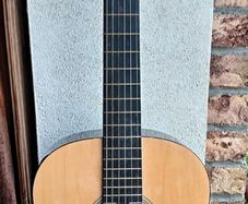 Elevation Acoustic Guitar