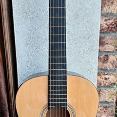 Elevation Acoustic Guitar