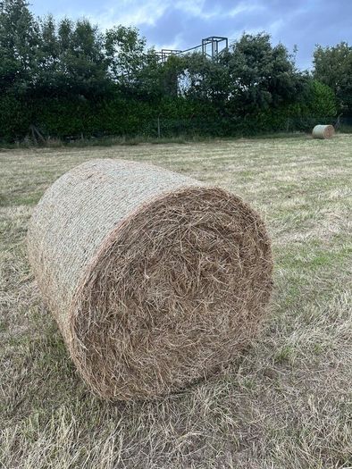 Hay for sale Ferns area