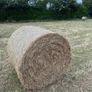 Good quality Hay for Sale Ferns area. Image 2