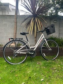 Raleigh Ladies Bike