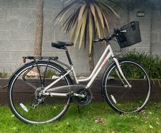 Raleigh Ladies Bike