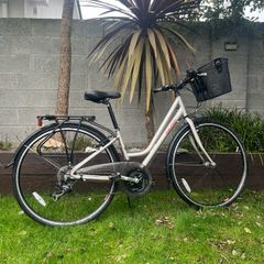 Raleigh Ladies Bike