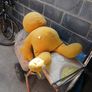zippy Image 4